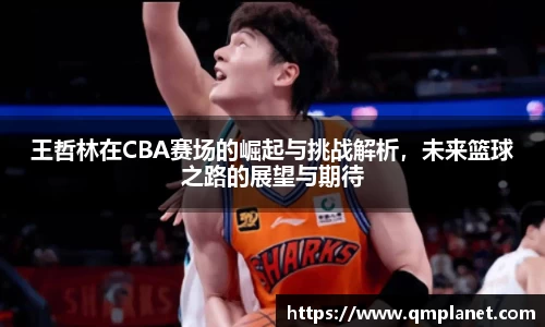 B体育官网