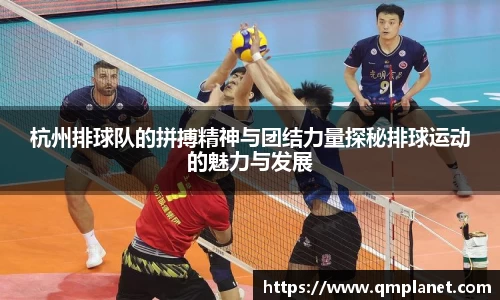 bsports官网